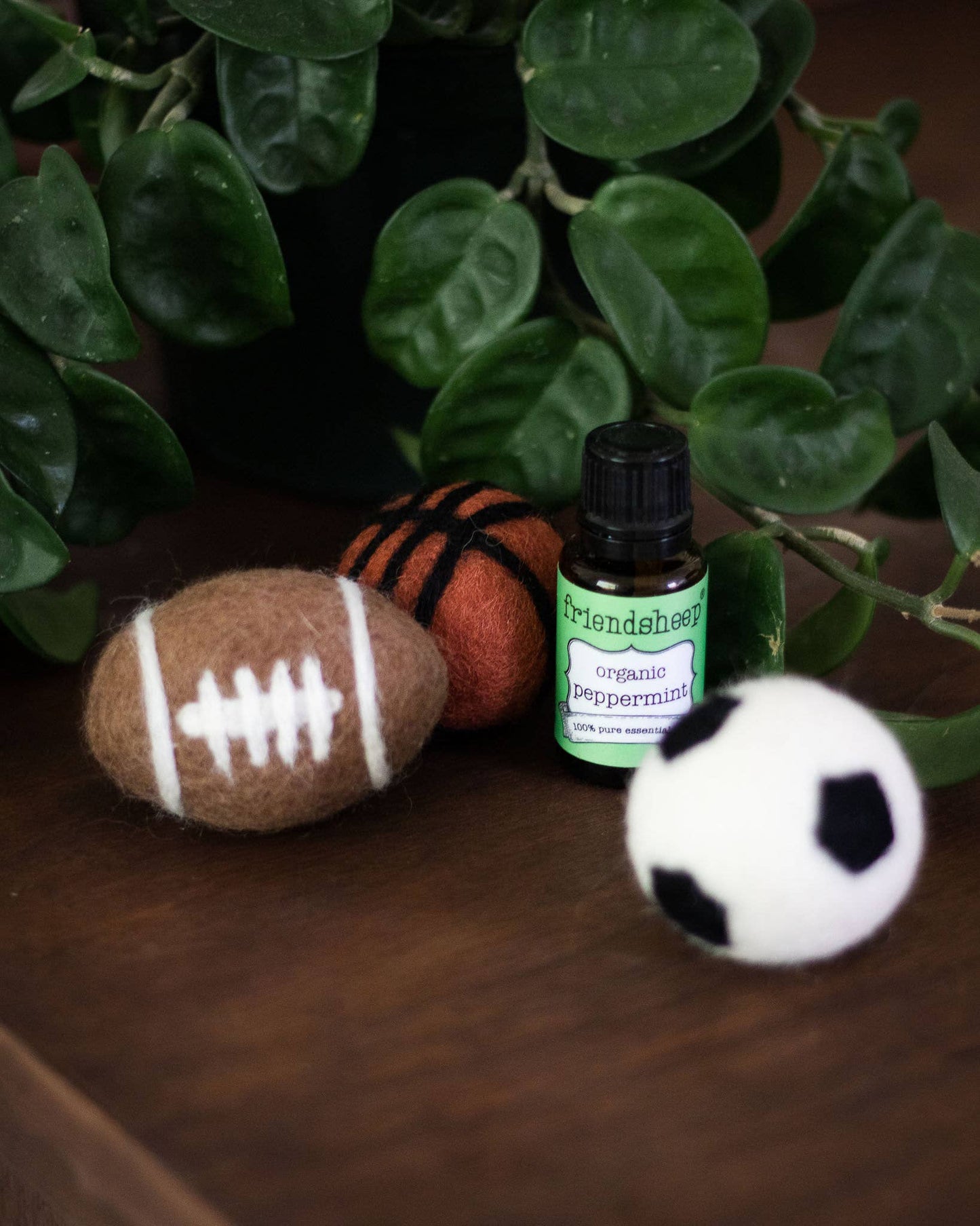 Sporty Felt Wool Eco Pet Toys