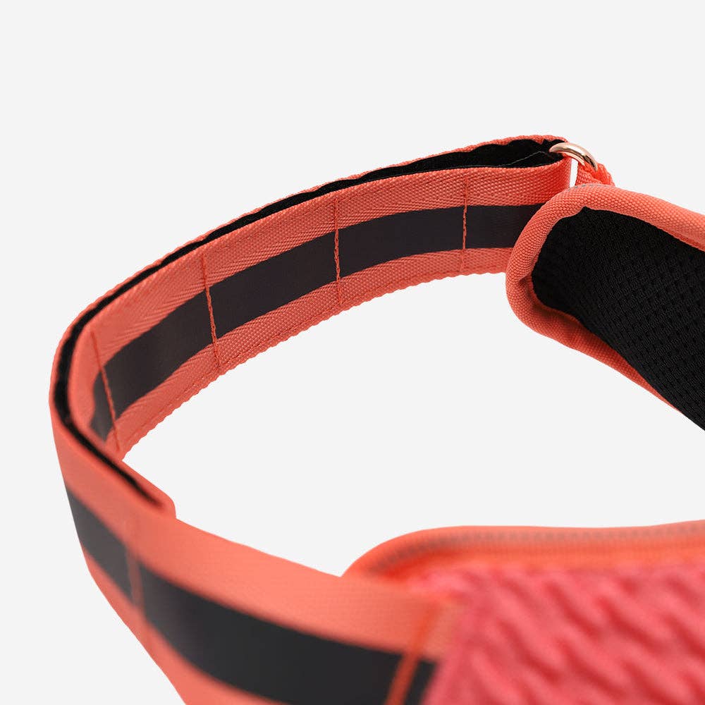 Gazelle | FlyHarness