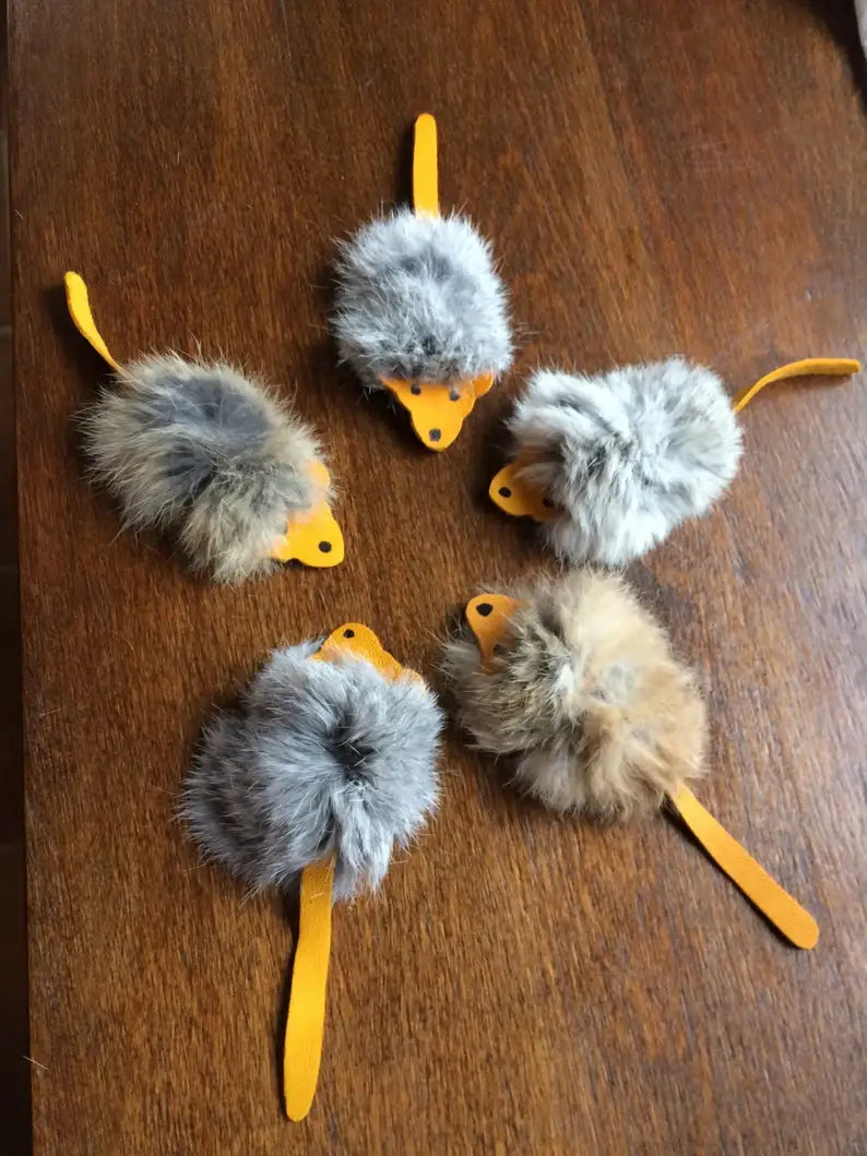 Harry Cat Toy