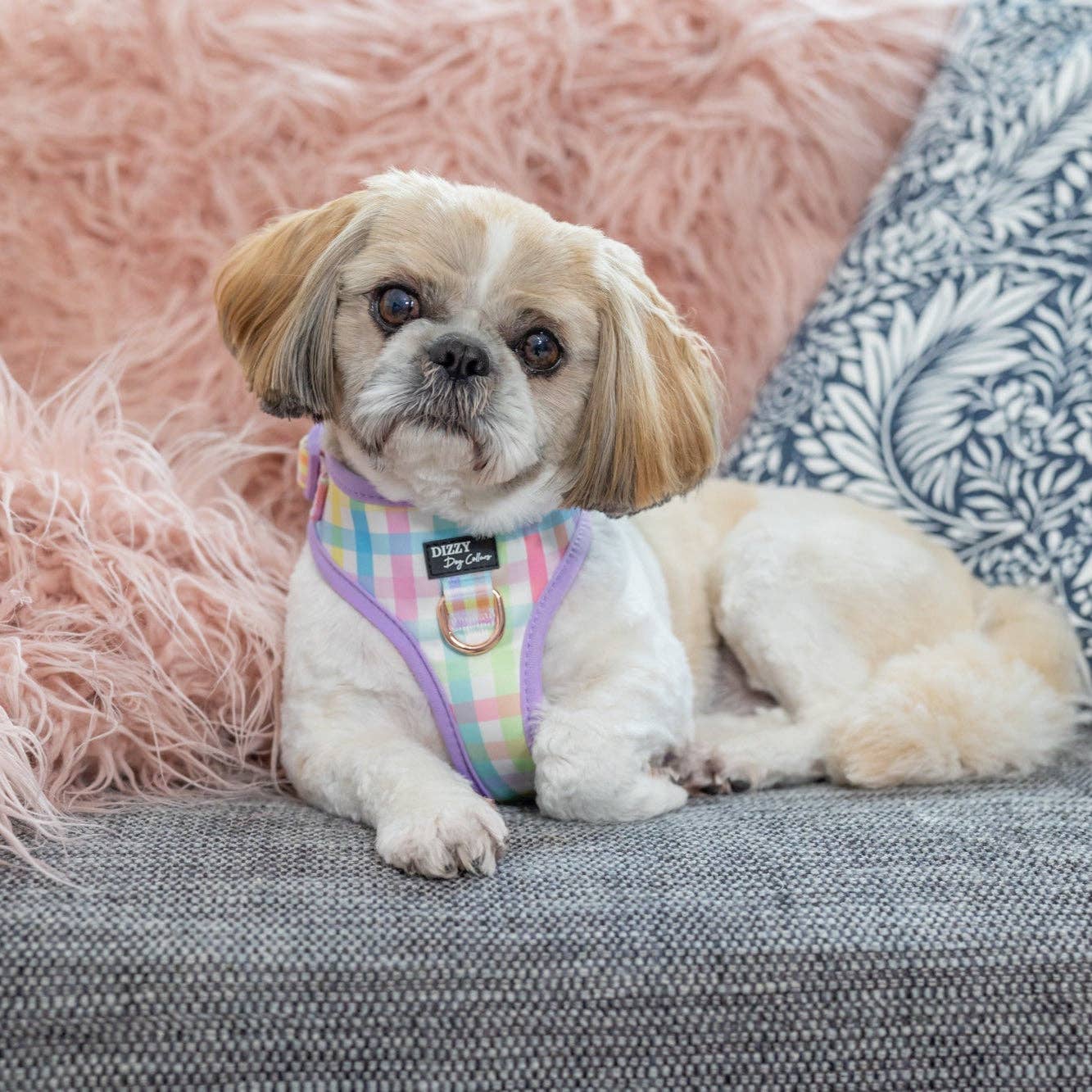 DOG HARNESS | Sherbet Gingham | Neck Adjustable Dog Harness