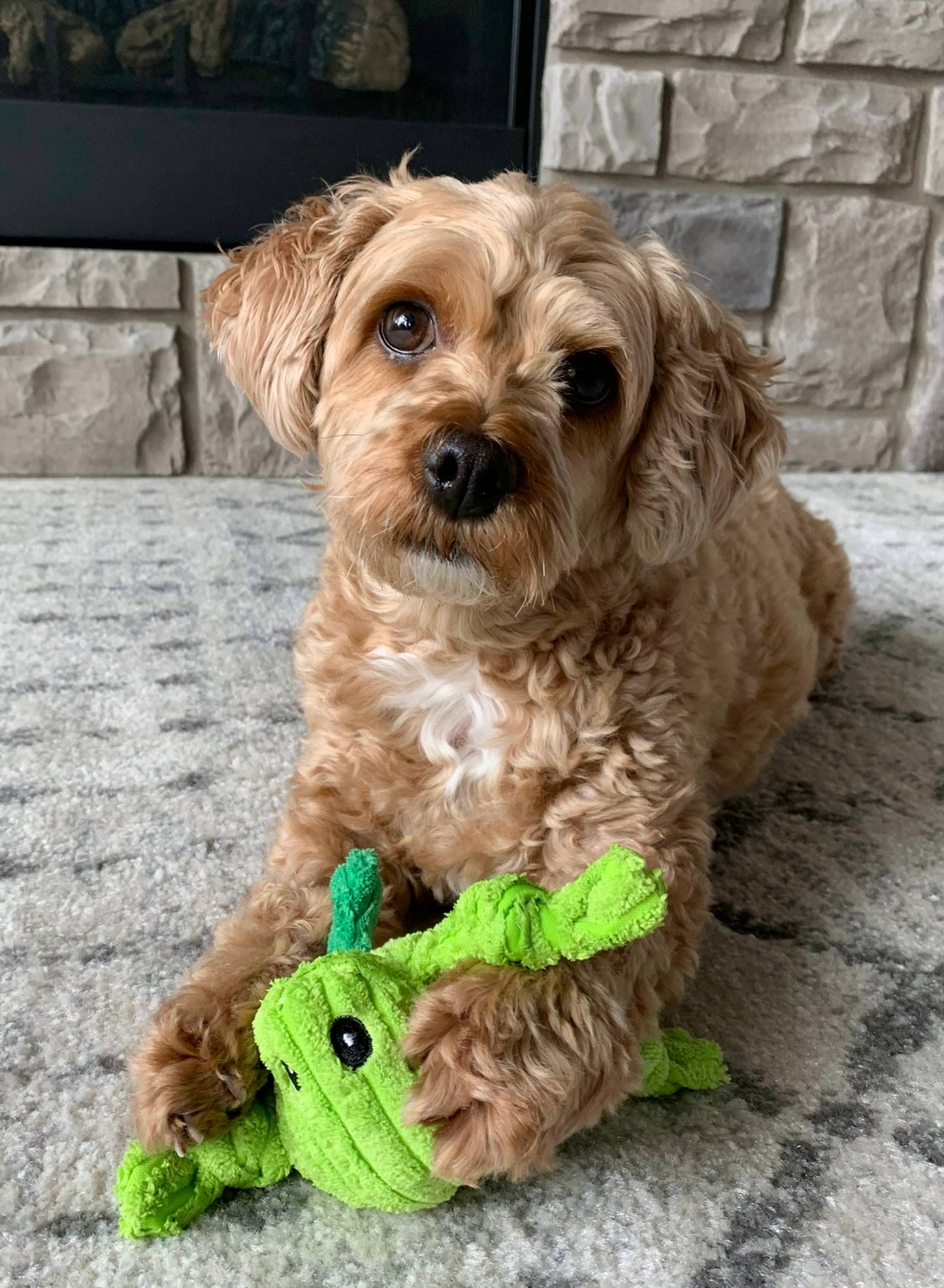 Hopper, Winged Grasshopper, Corduroy Squeaker Dog Toy