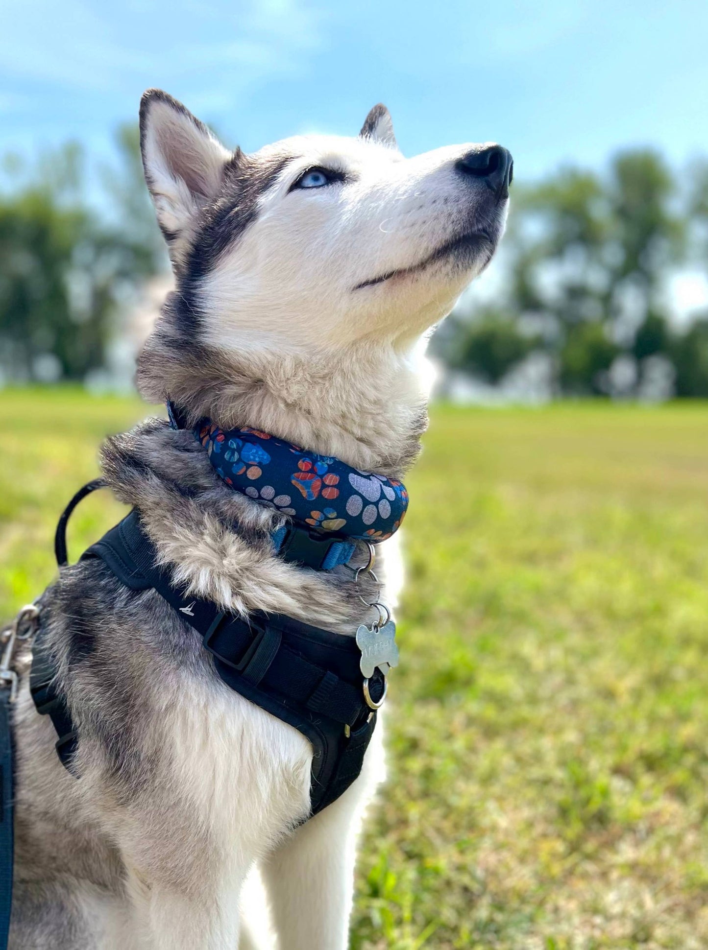 Cooling Neck Wrap : Medium 16" - 20"