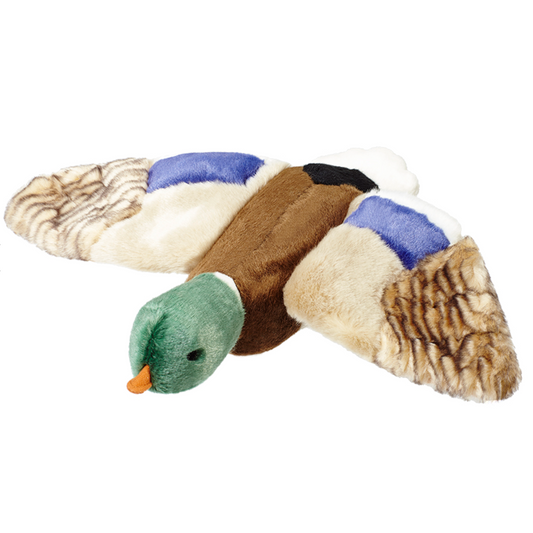 Wally Duck Plush Dog Toy