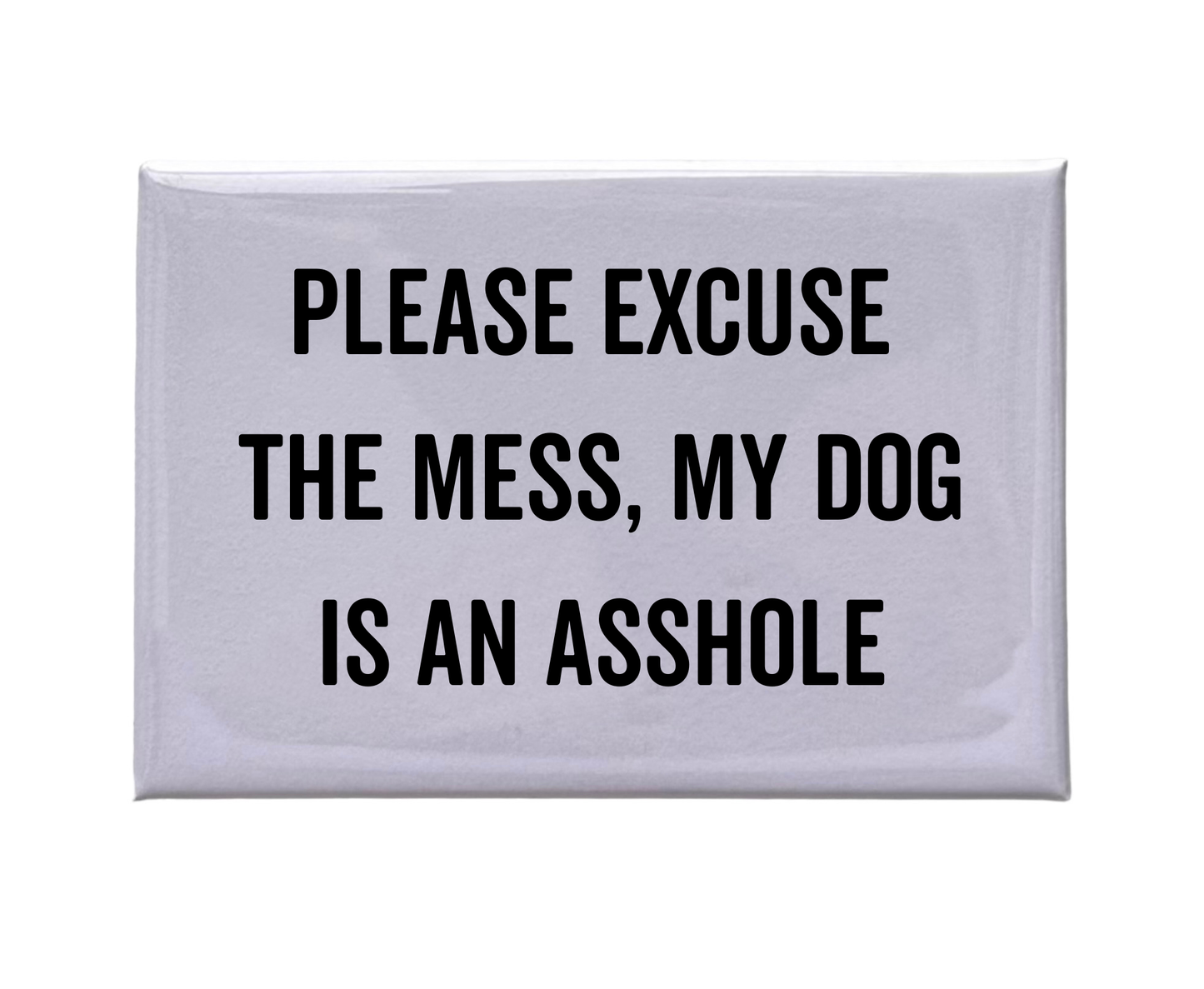 Please Excuse The Mess Magnet