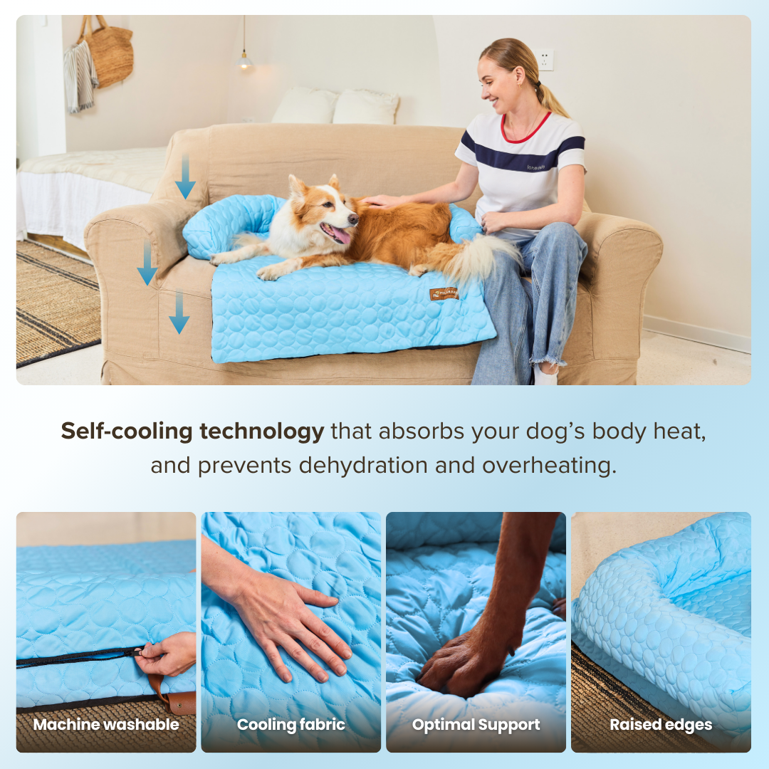 Cooling Dog Bed Heat Relief - Pelsbarn