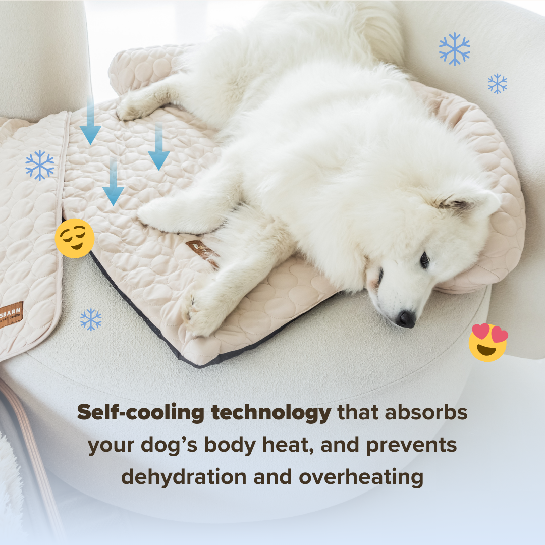 Cooling Dog Bed Heat Relief - Pelsbarn