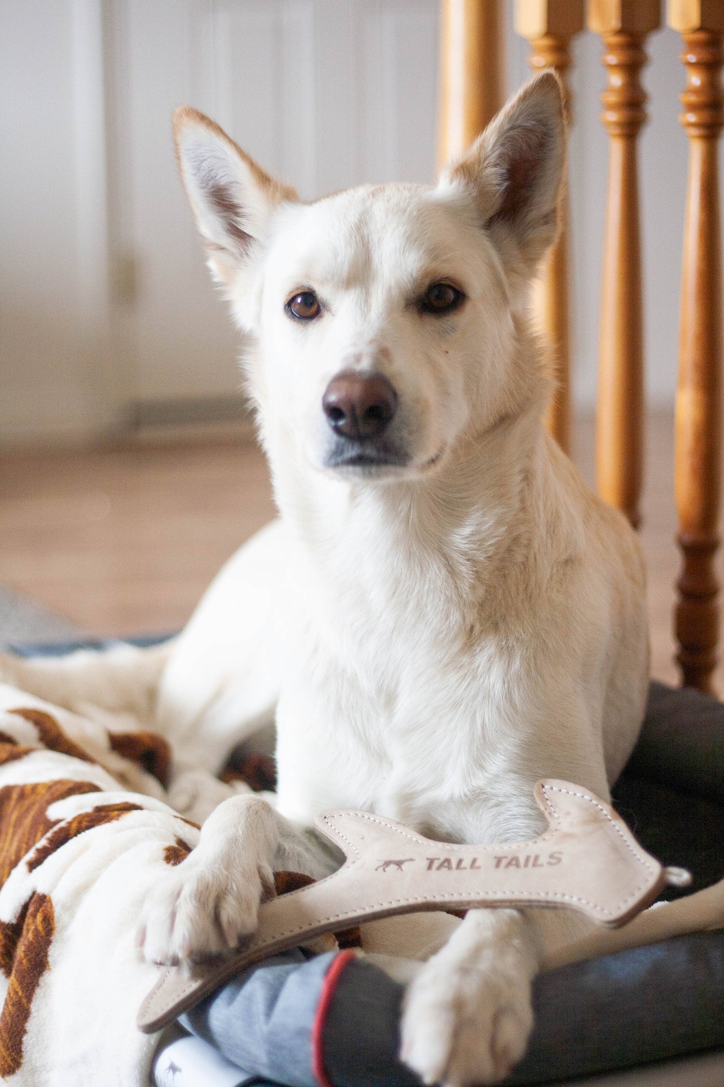 Tall Tails Natural Leather Antler Dog Toy - 11"