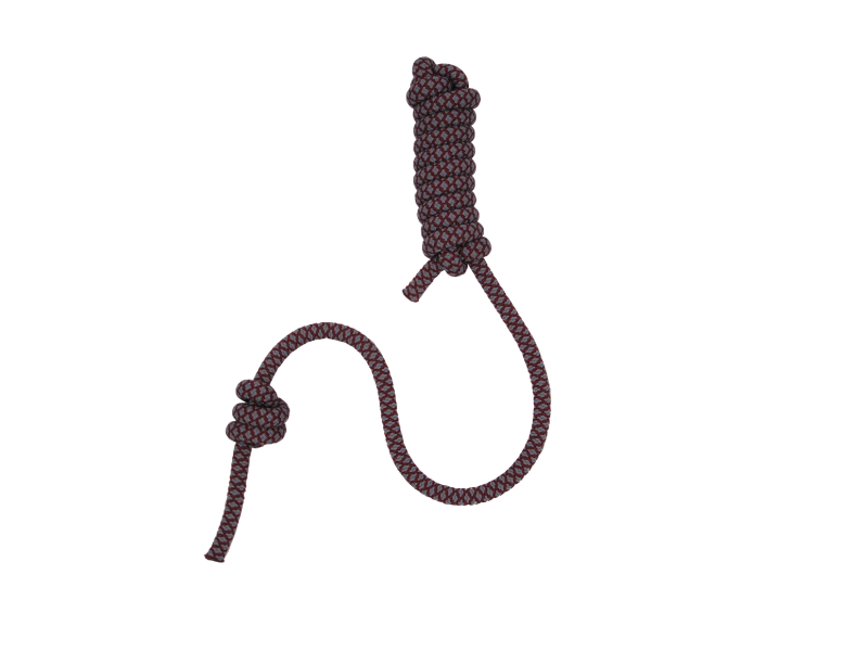 BIG DUMMY TRAINING - Recycled Climbing Rope - Random Color