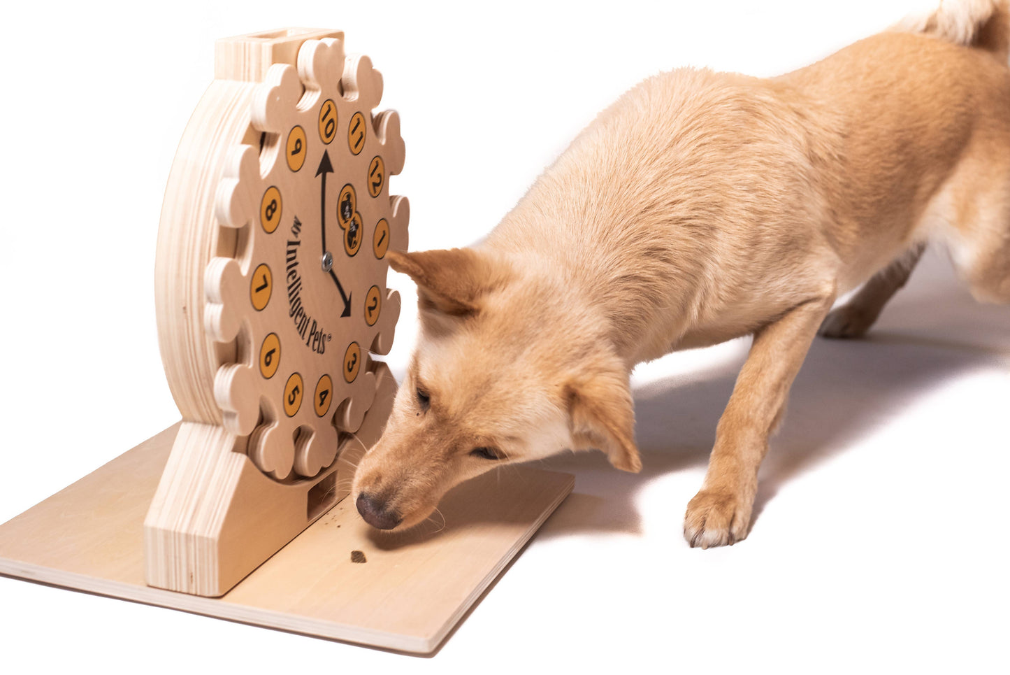 Pet's O'Clock - pet enrichment toy