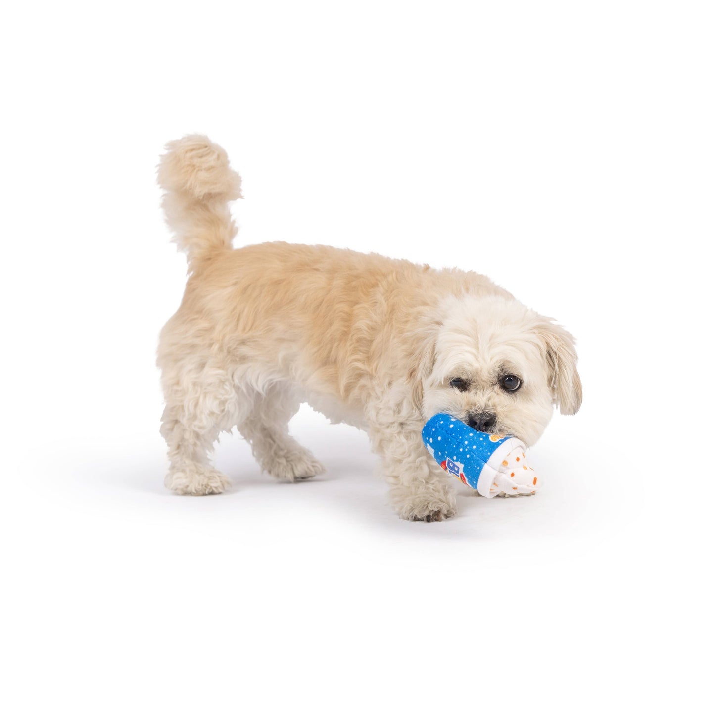 Tiny Tuff Arctic Blast Treat