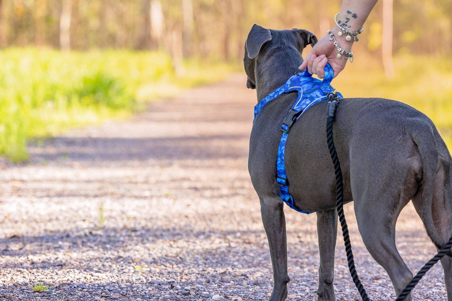 No Pull Dog Harness | Step in | Reflective | Heavy Duty | Easy Reach Handle | Blue Marble