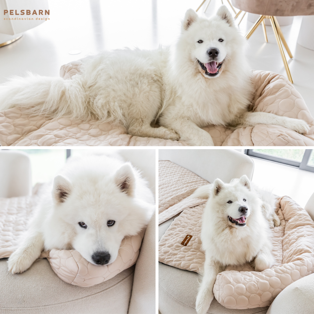Cooling Dog Bed Heat Relief - Pelsbarn