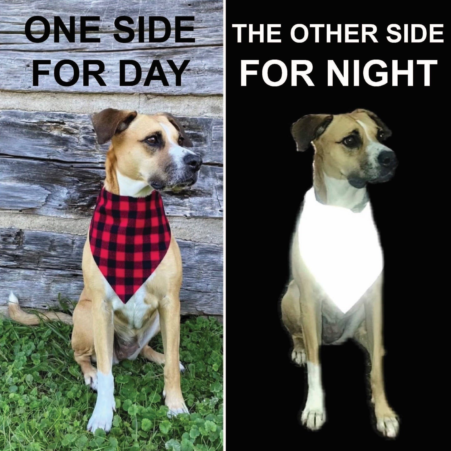 Beer RUFFLECT® Dog Bandana