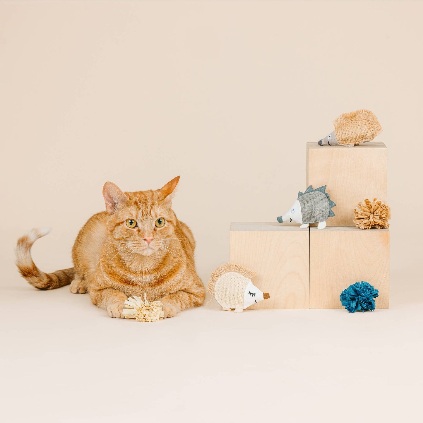 Quill Be Alright Hedgehog Cat Toy set of 6