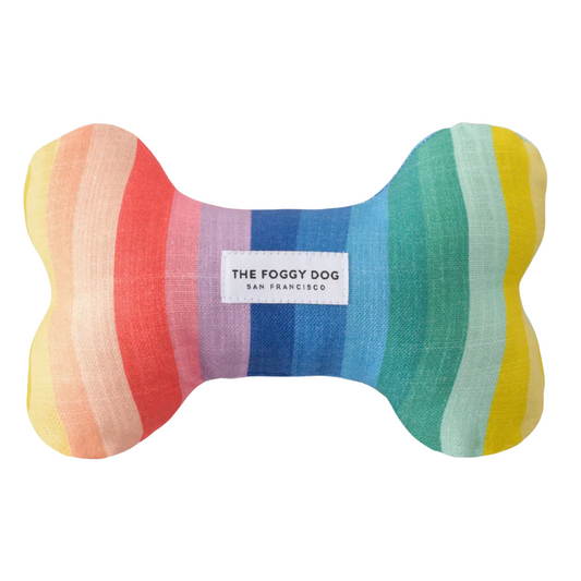Over the Rainbow Dog Bone Squeaky Toy