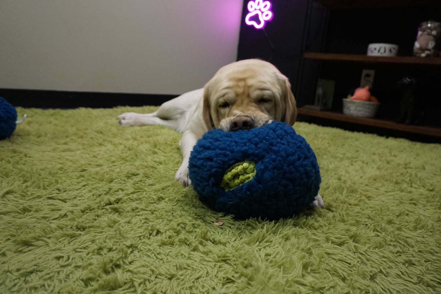 HuggleSnuffles™ HuggleFleece® Treat Trap - Treat Dispensing
