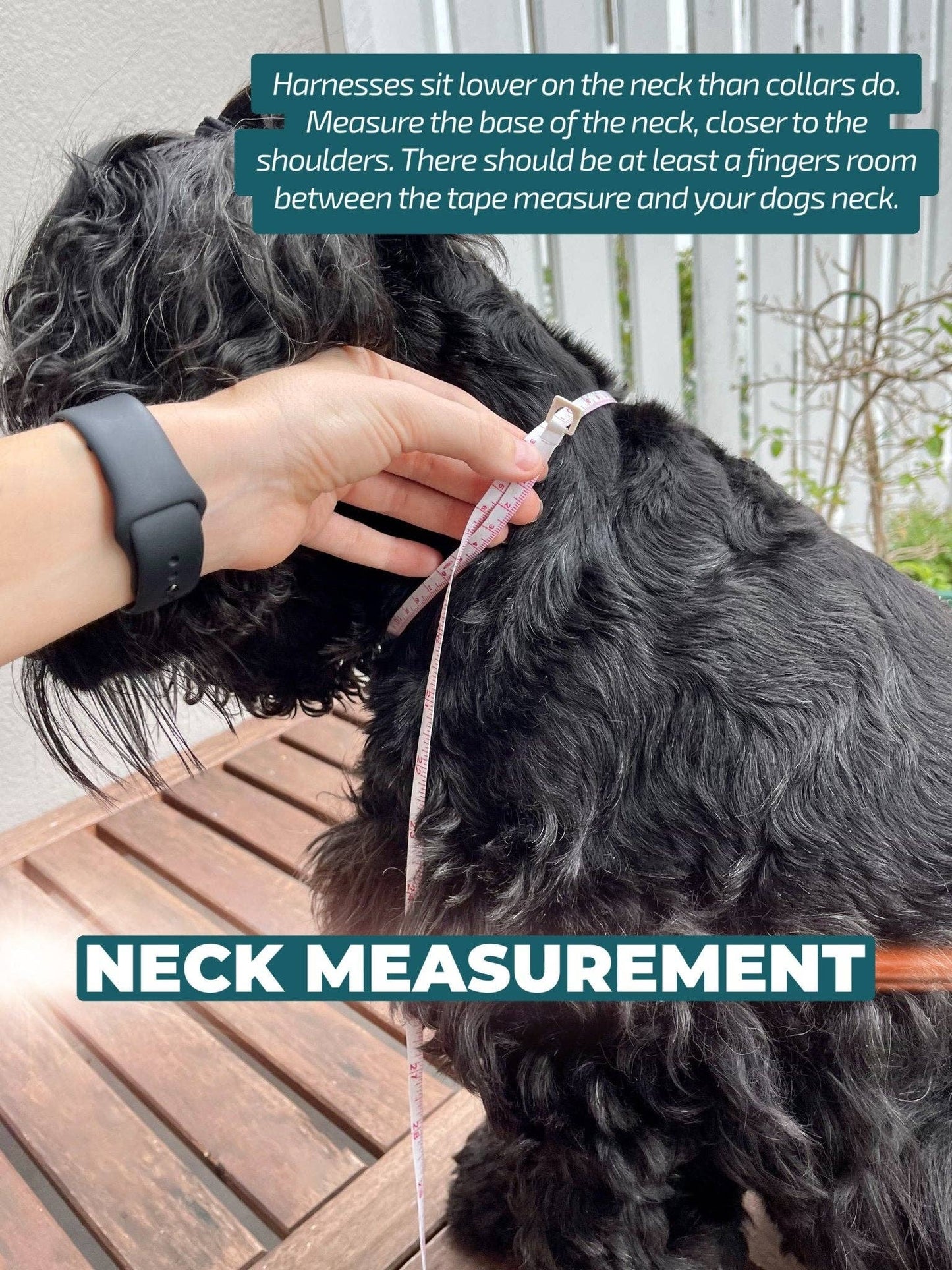 No Pull Dog Harness | Step in | Reflective | Heavy Duty | Easy Reach Handle | Midnight Cherry Blossoms