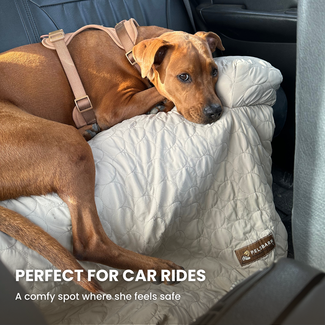 Cooling Dog Bed Heat Relief - Pelsbarn