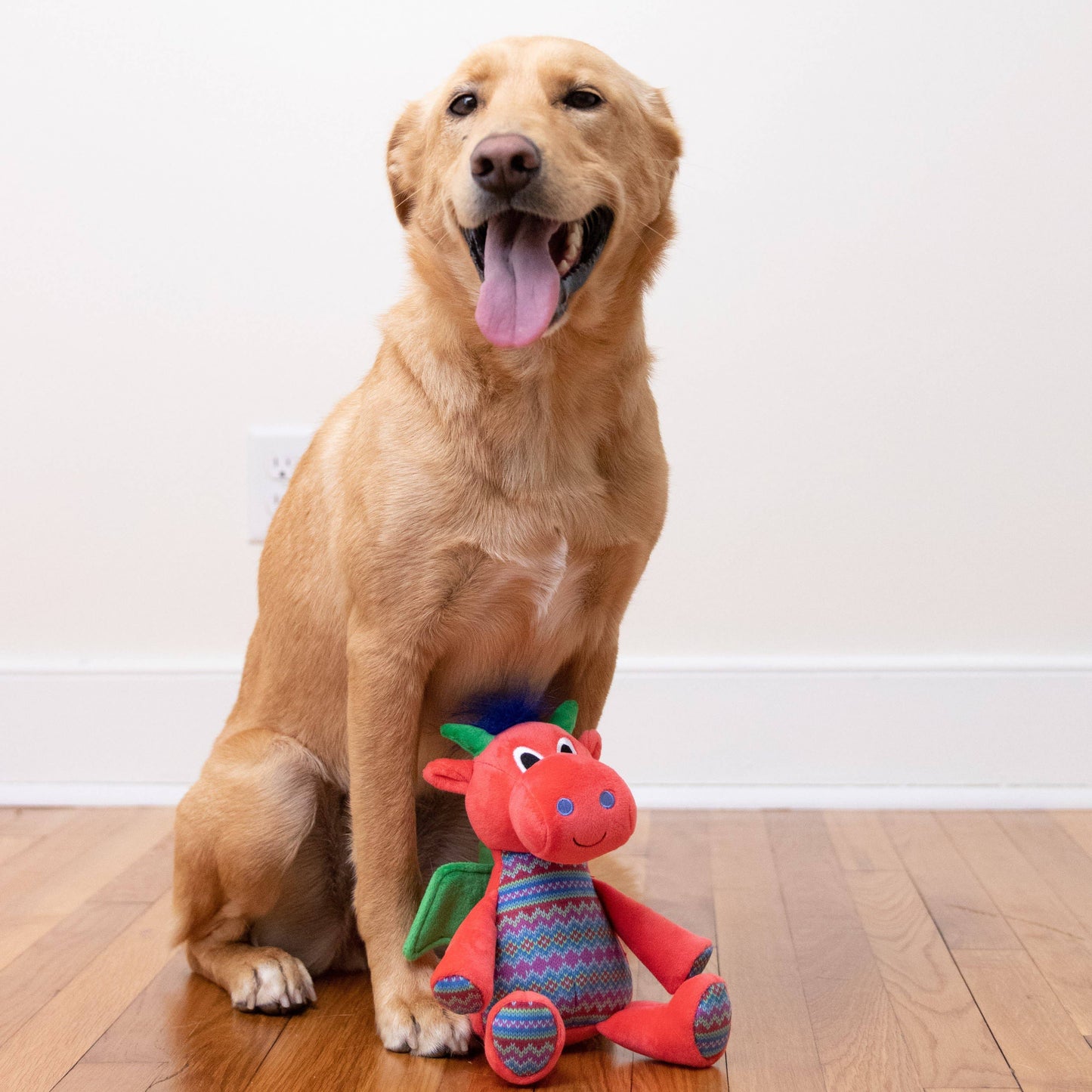 Fireball Dragon Dog Toy