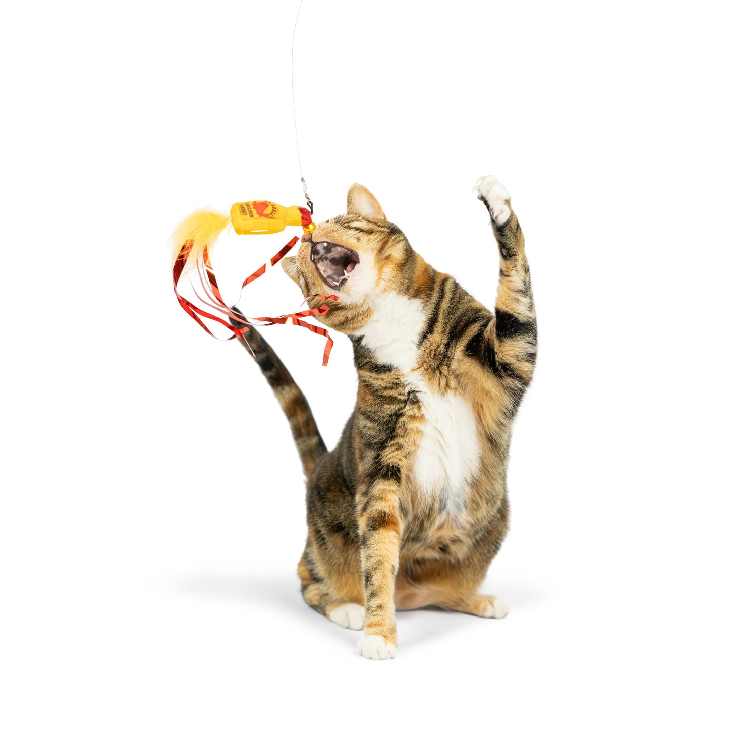 Teaser Hairball Whisky Cat Wand