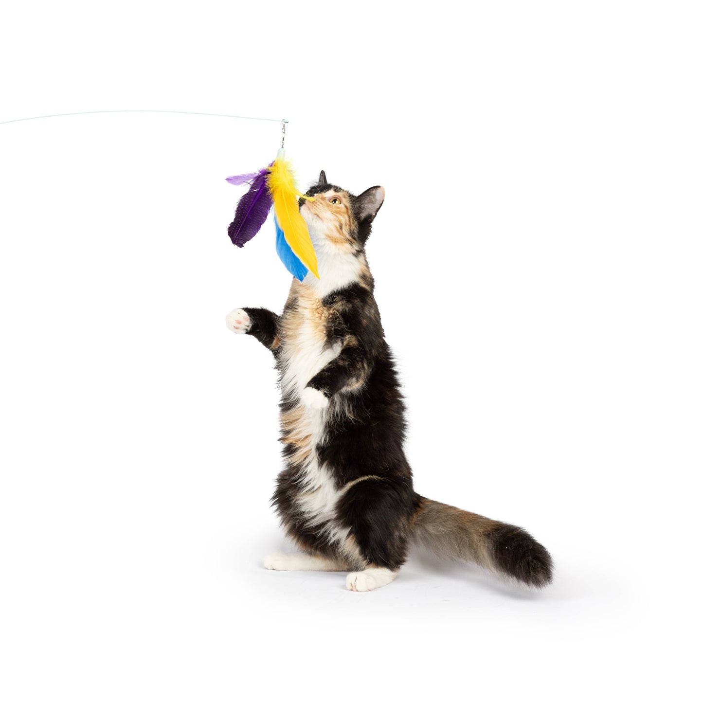 Purple Fishy Feather Teasers 2pk Refill Cat Toy
