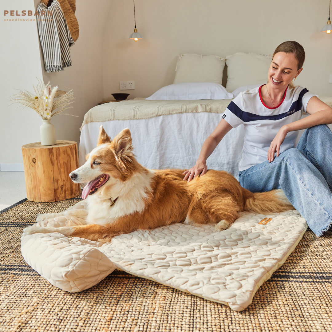 Cooling Dog Bed Heat Relief - Pelsbarn