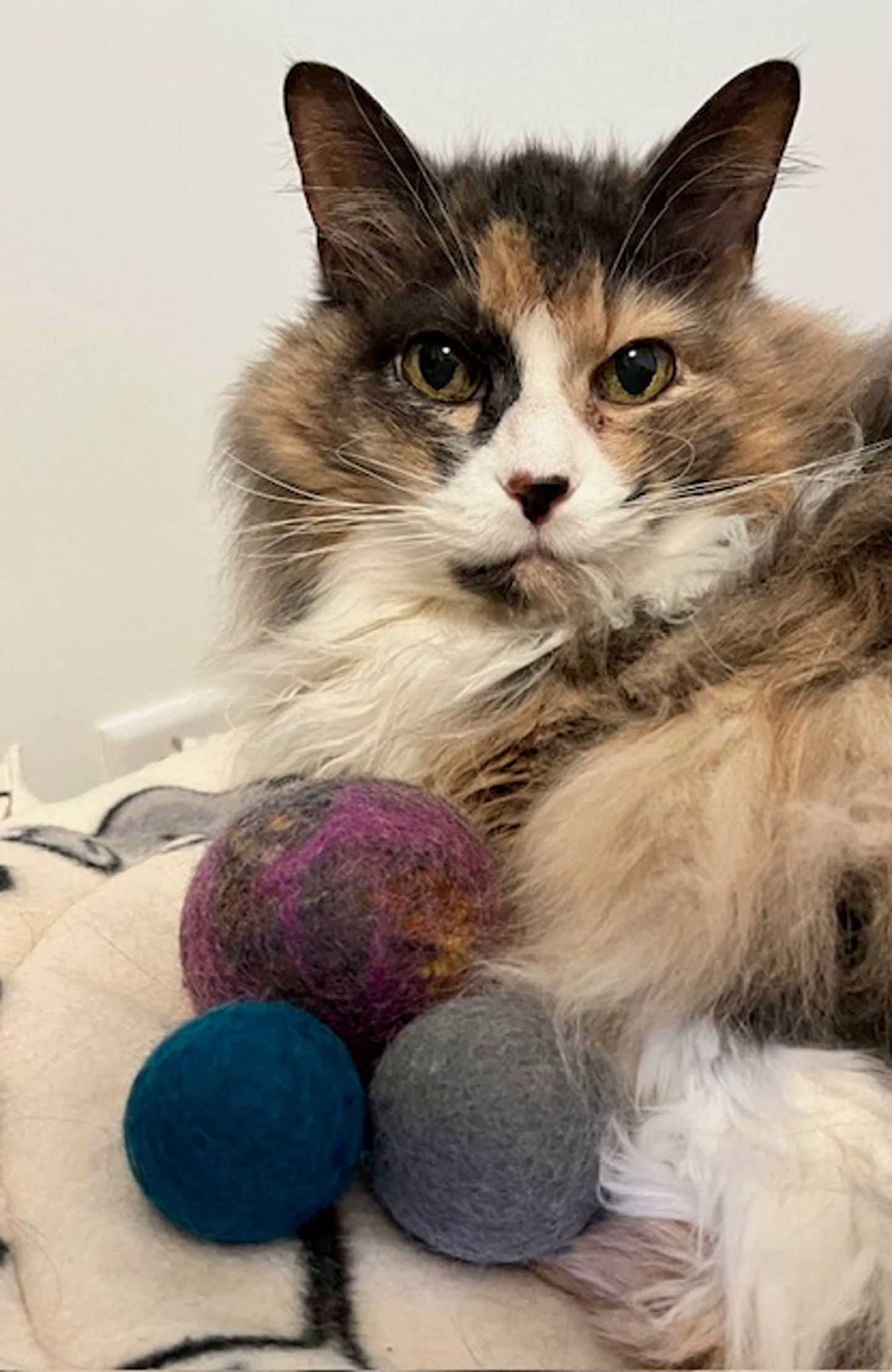 Felt Balls Cat Toy: Medium 1.75" (4.4cm)