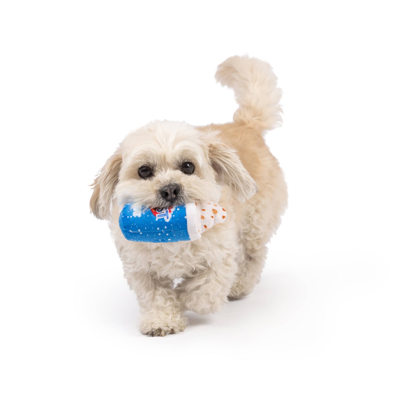 Tiny Tuff Arctic Blast Treat