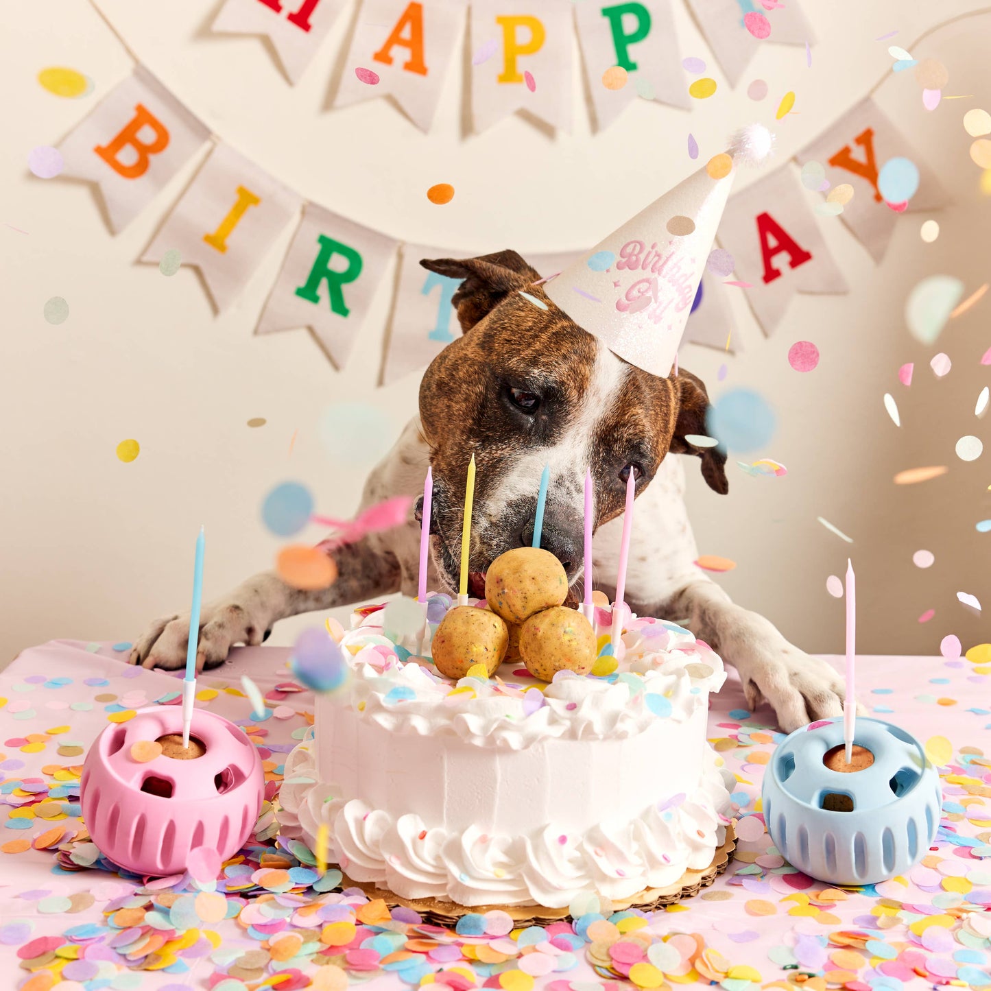 The Pupsicle - Party - Pink or Blue