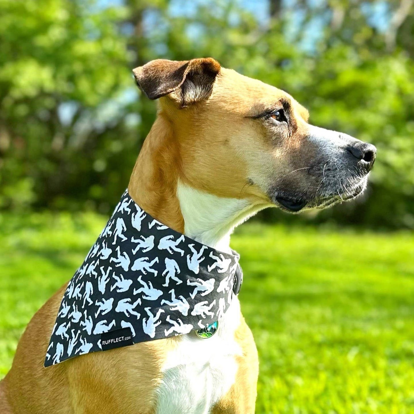 Sasquatch RUFFLECT® Dog Bandana