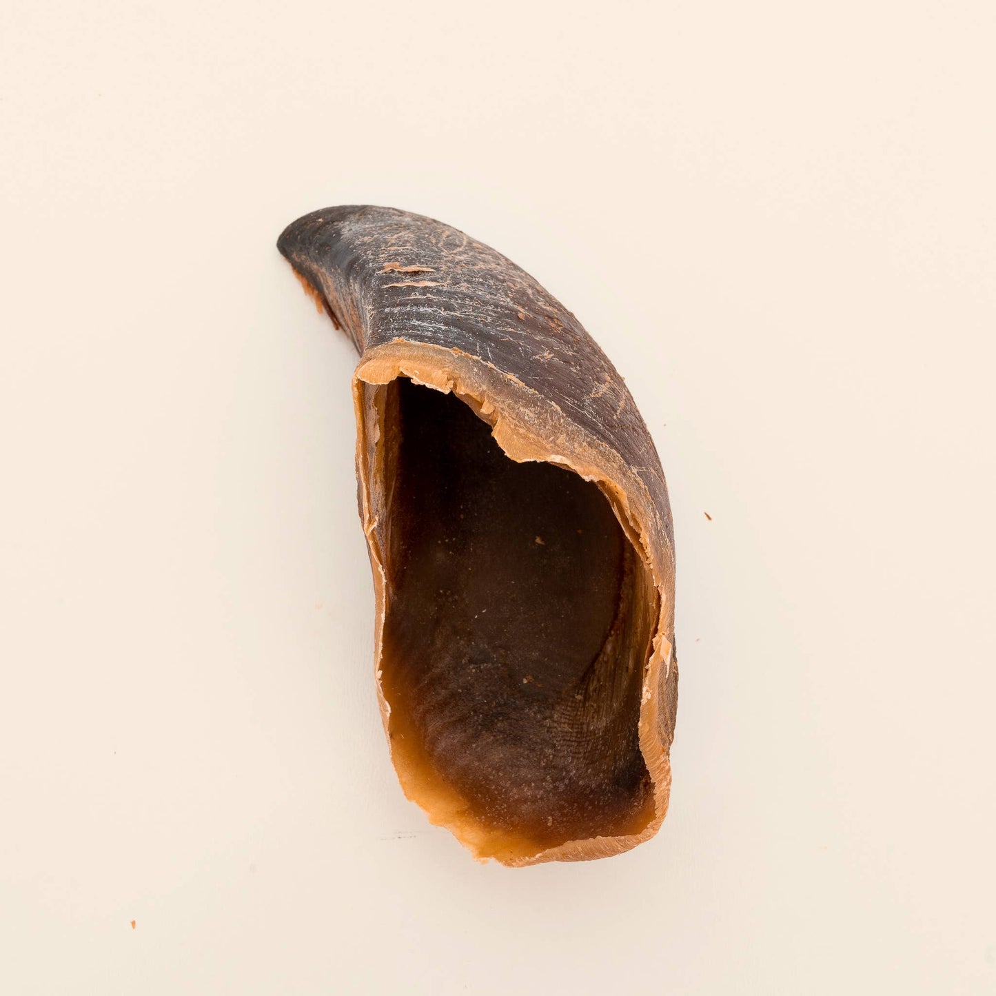 Beef Hooves
