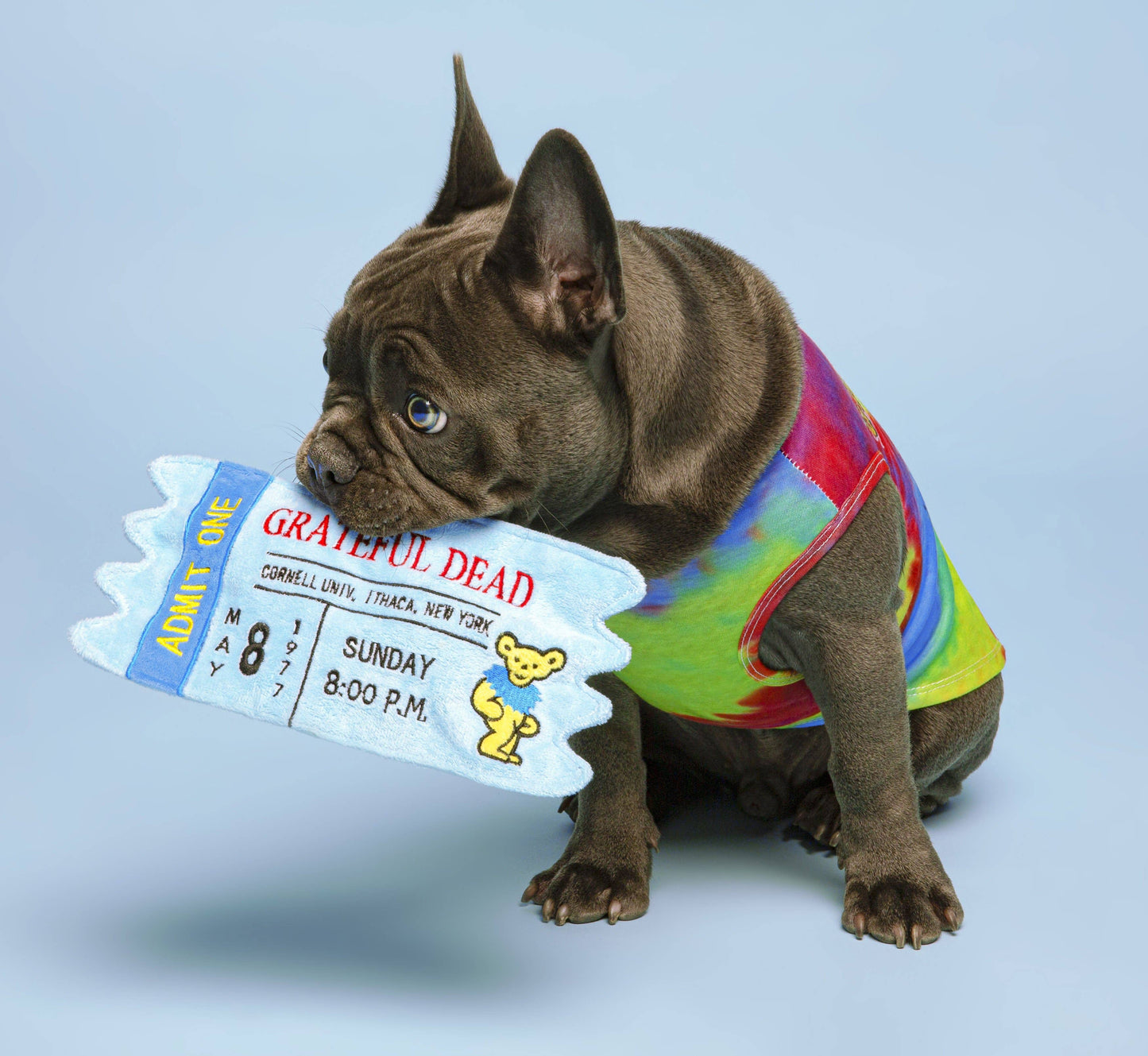 Grateful Dead Cornell '77 Concert Ticket Dog Toy