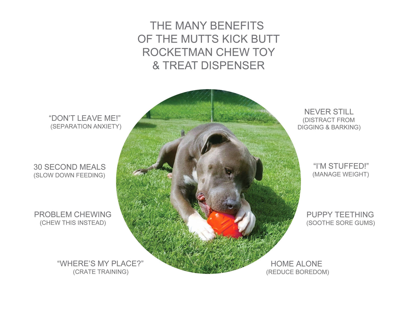 Spotnik Rocketman - Chew Toy - Treat Dispenser - Large - Red