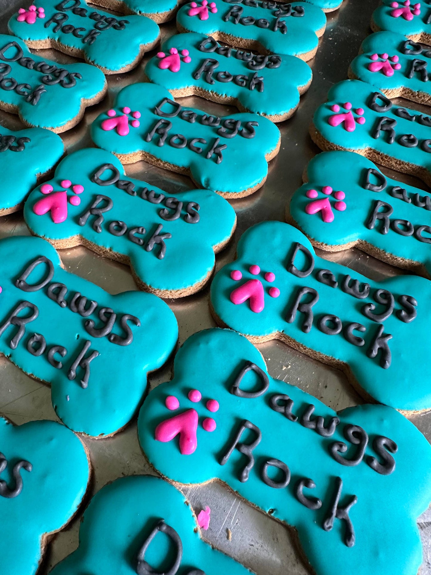 Cookie - Dawgs Rock Conversation Bone