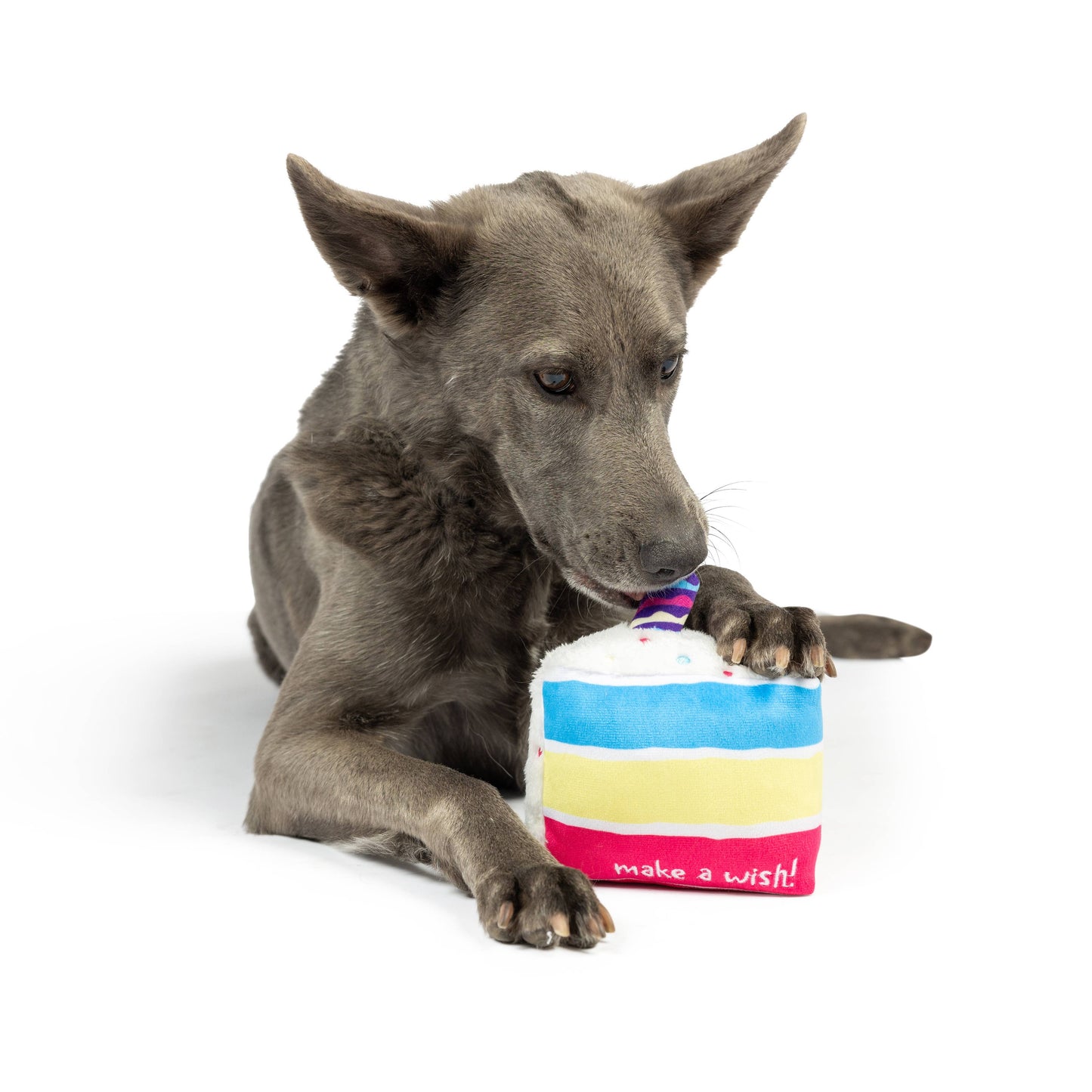 Make A Wish Cake Dog Toy
