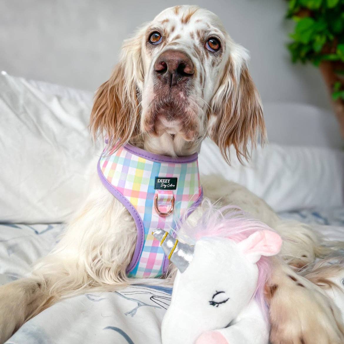 DOG HARNESS | Sherbet Gingham | Neck Adjustable Dog Harness
