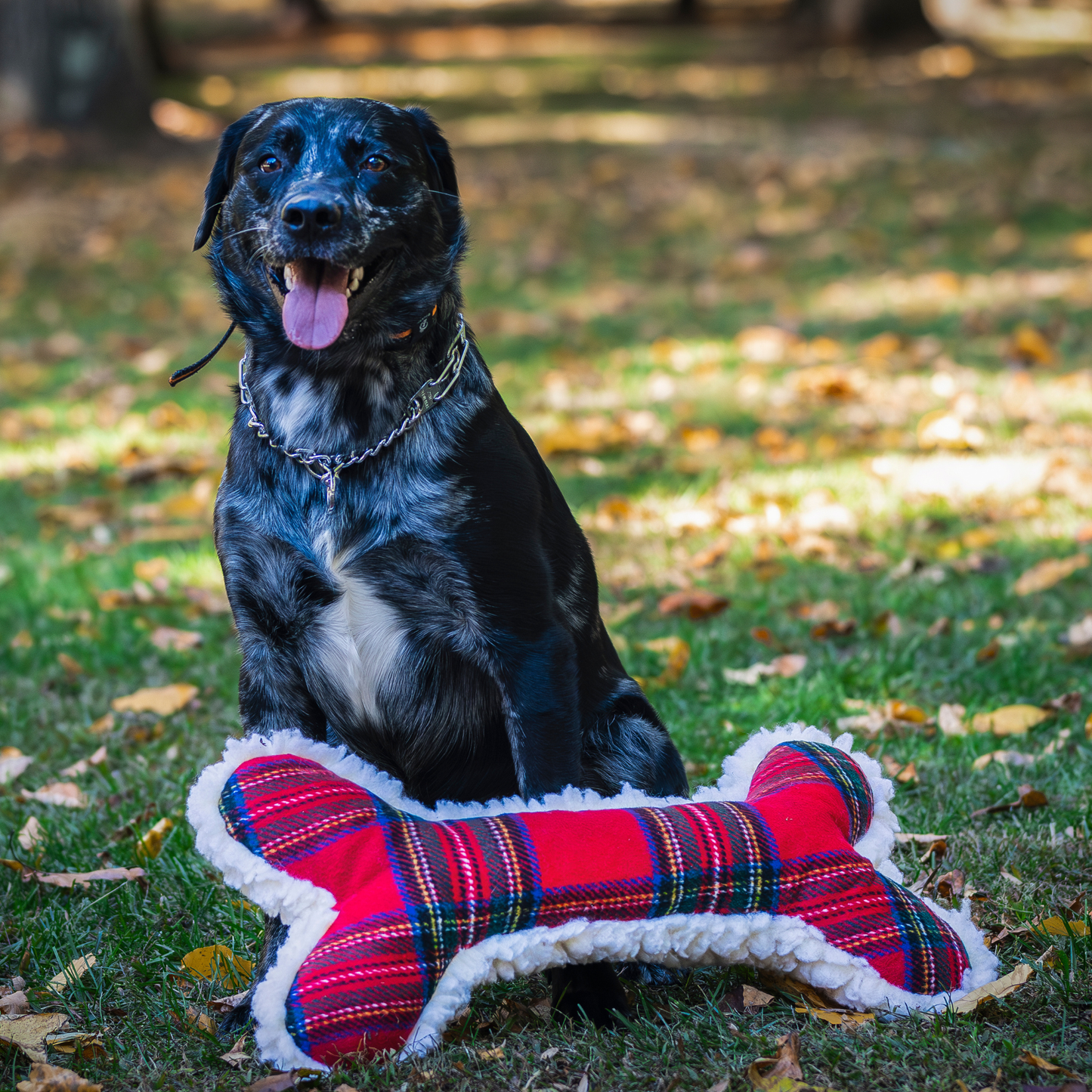 Tartan Tidings Collection HuggleFleece® Bone