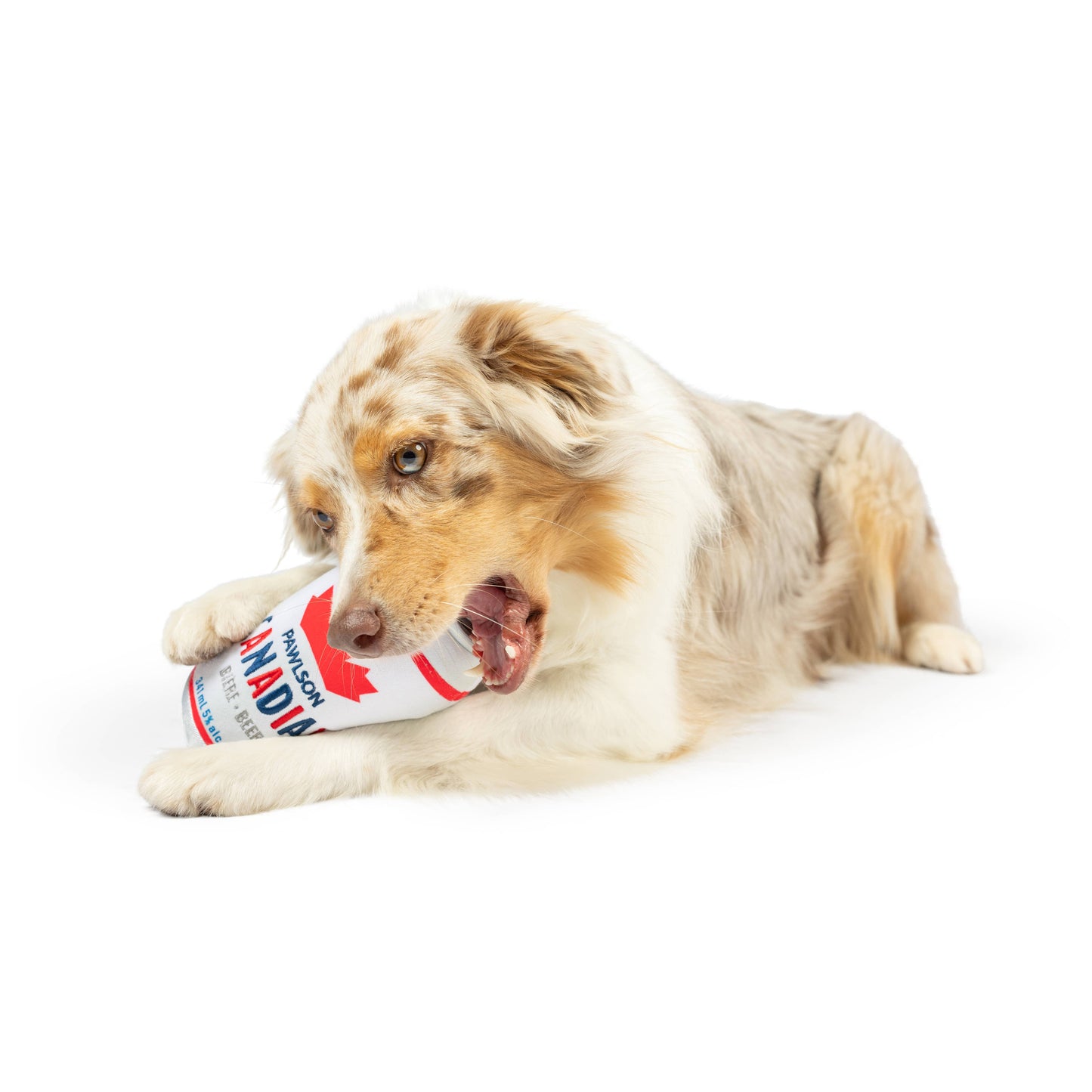 Pawlson Dog Toy