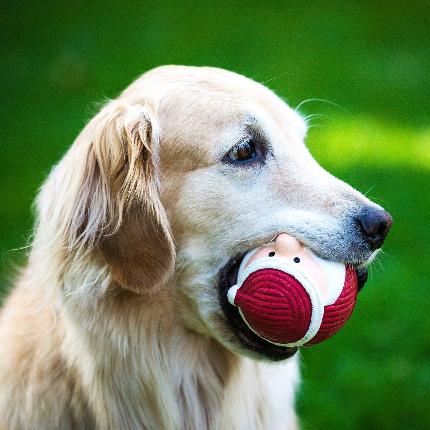 Santa Ruff-Tex® Ball Dog Toy