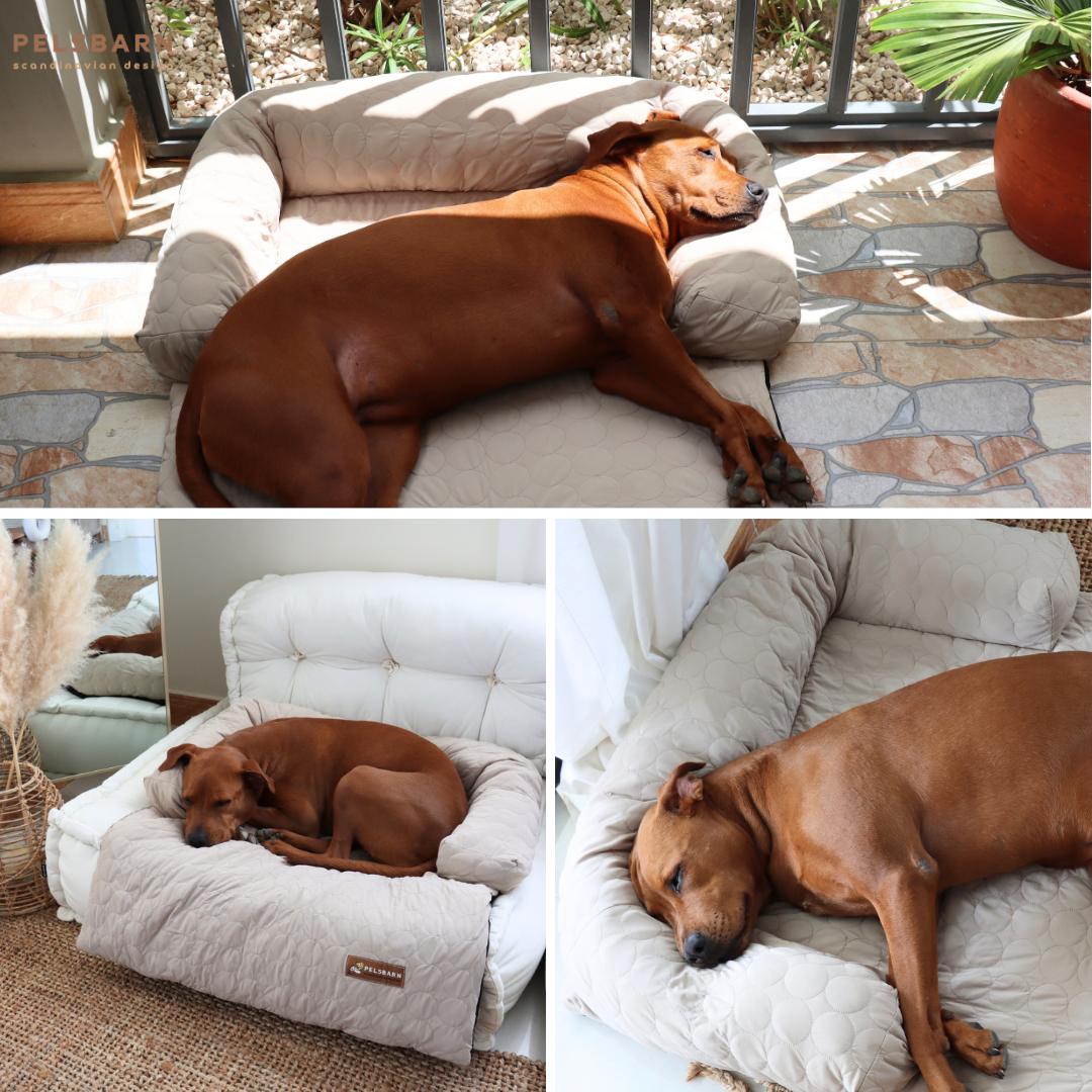 Cooling Dog Bed Heat Relief - Pelsbarn