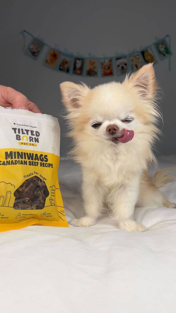 Bison Treats For Dogs 100g/3.53oz