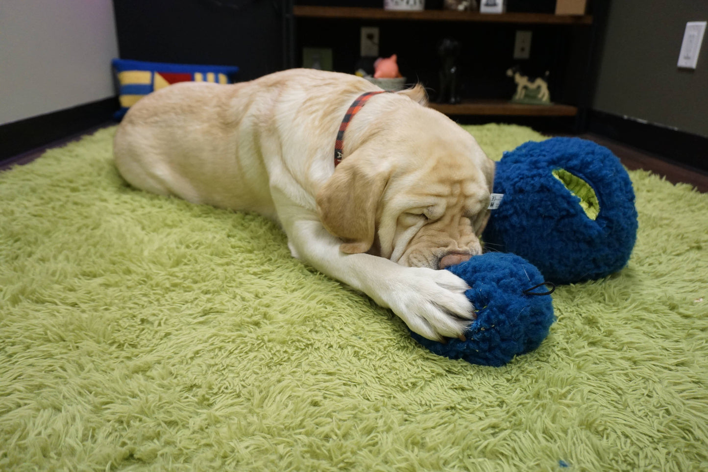 HuggleSnuffles™ HuggleFleece® Treat Trap - Treat Dispensing