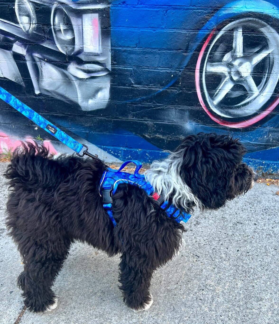 No Pull Dog Harness | Step in | Reflective | Heavy Duty | Easy Reach Handle | Blue Marble