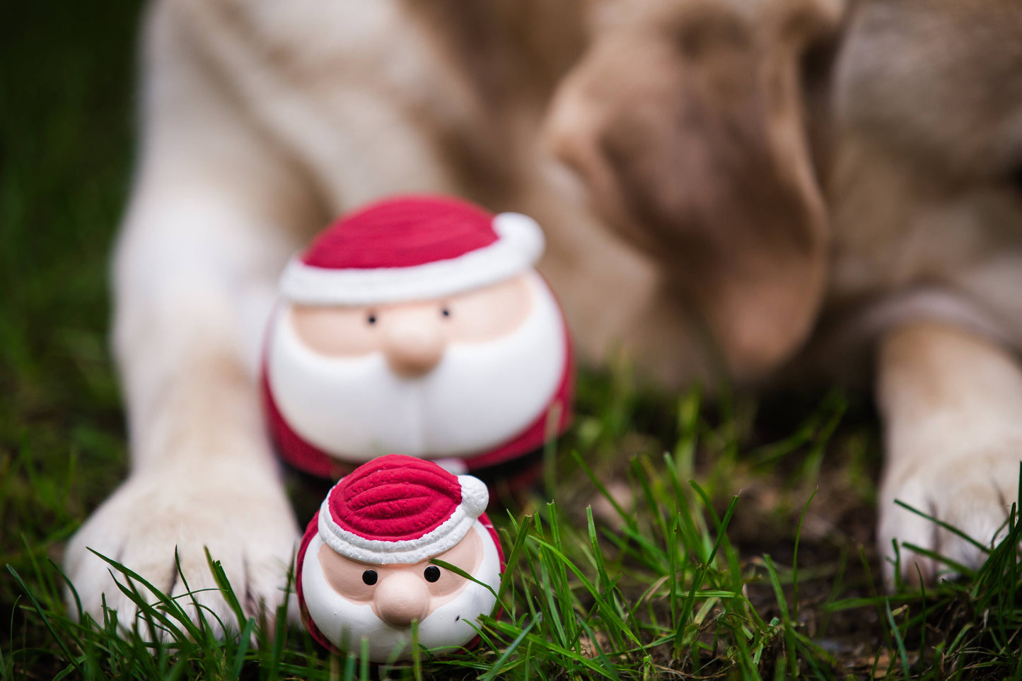 Santa Ruff-Tex® Ball Dog Toy