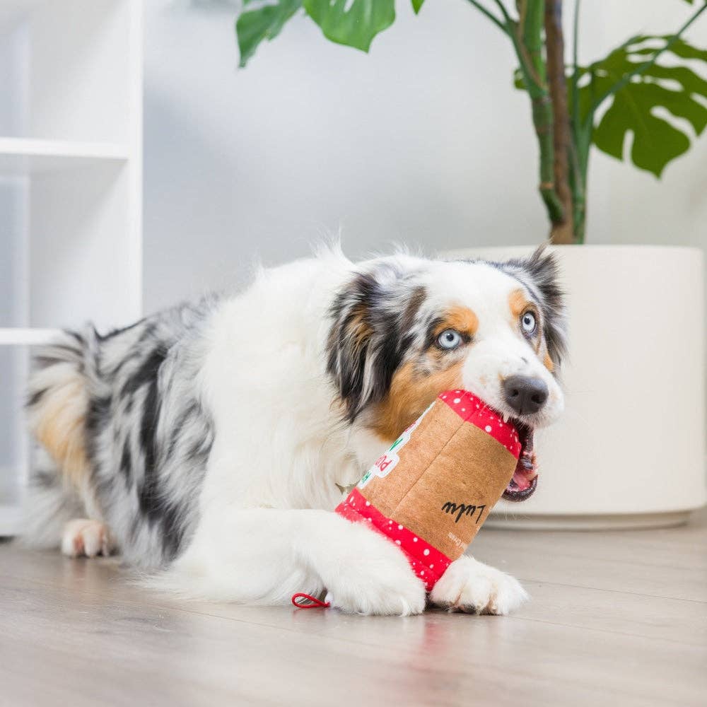 Latte My Way Dog Toy (Double Sided)