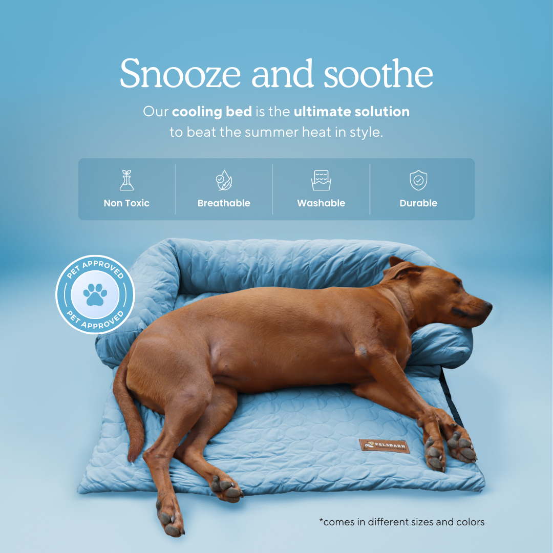 Cooling Dog Bed Heat Relief - Pelsbarn