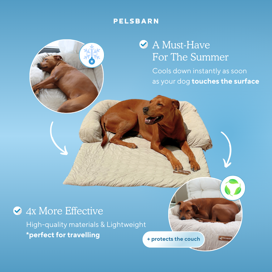 Cooling Dog Bed Heat Relief - Pelsbarn
