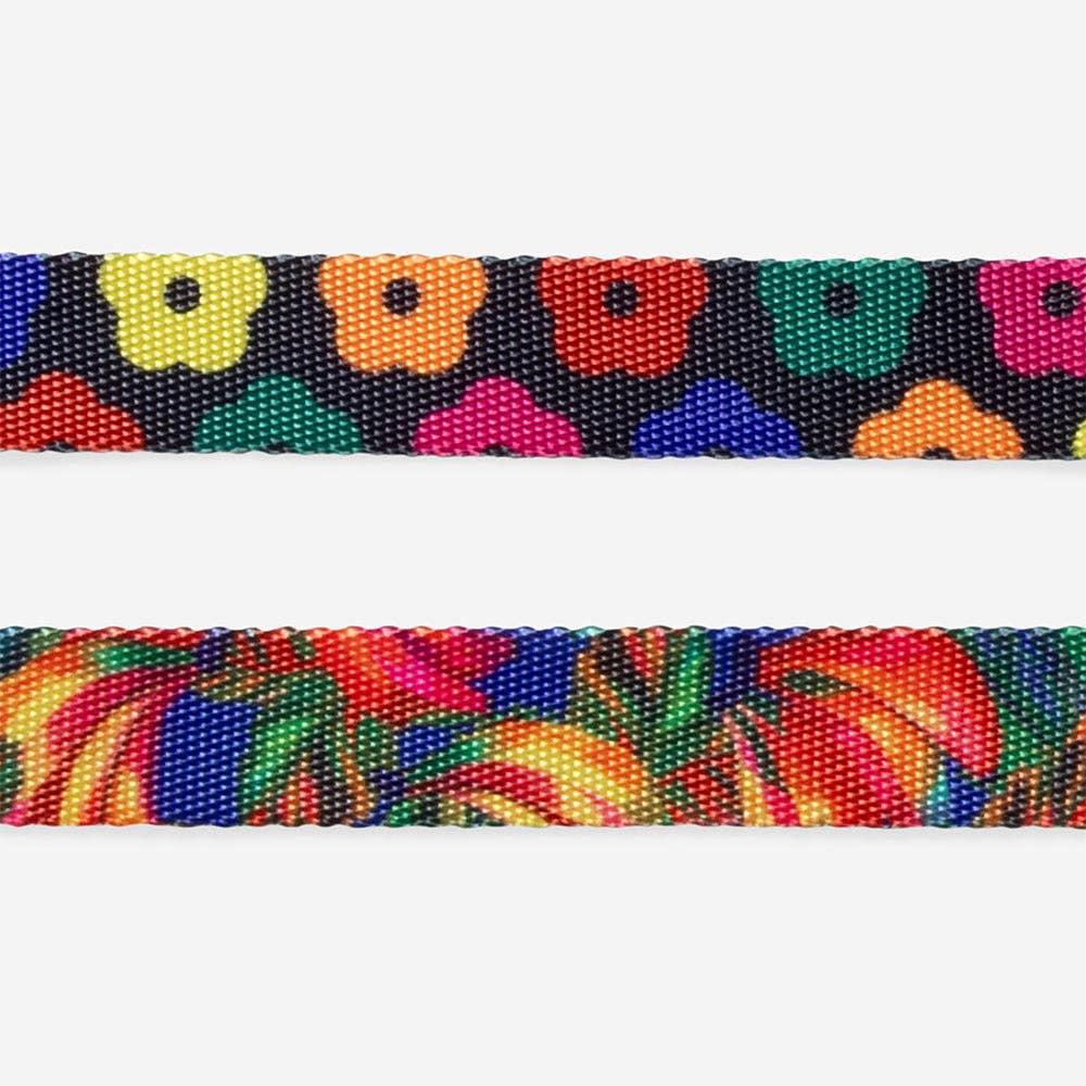 Samba | Cat Collar