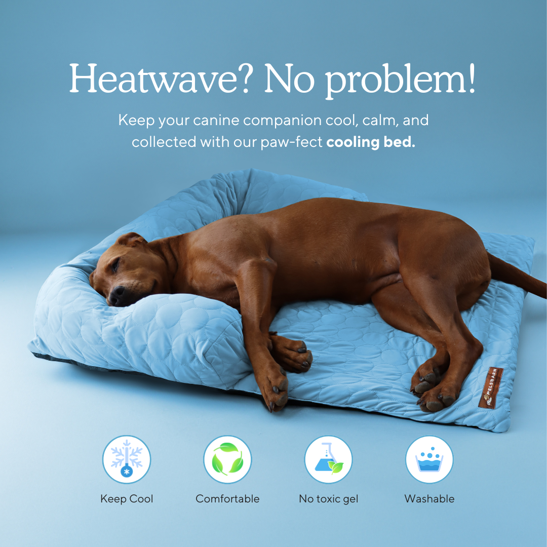 Cooling Dog Bed Heat Relief - Pelsbarn