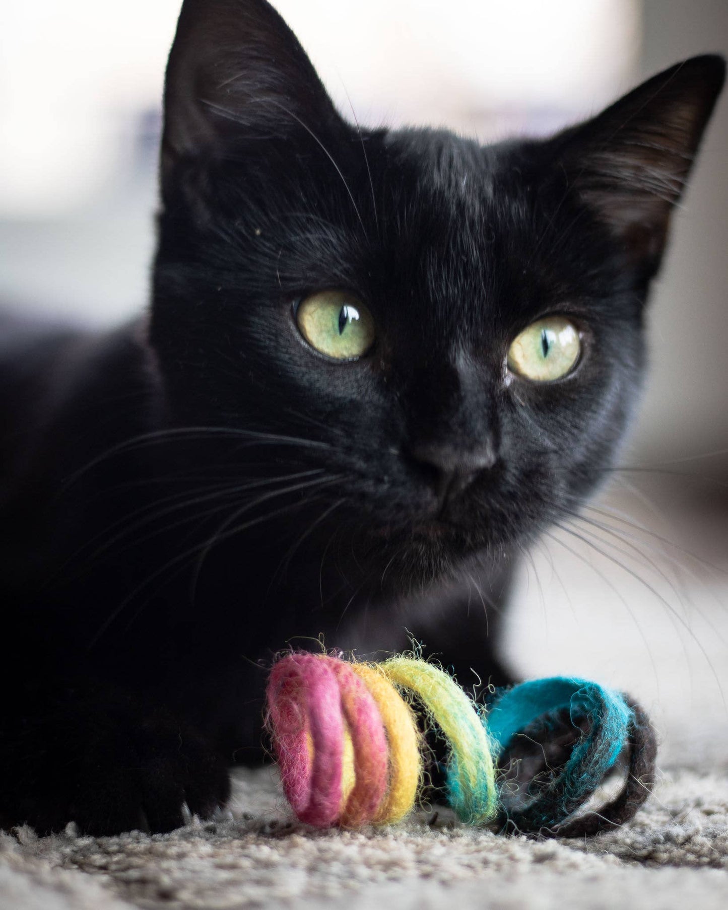 Spring Eco Cat Toy